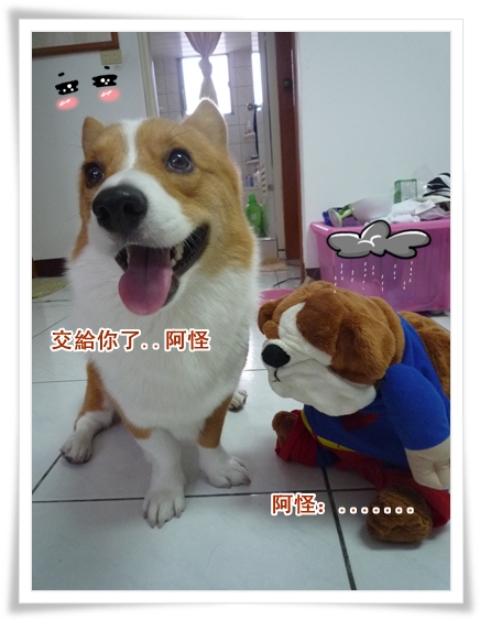 P1050440.JPG P1050440.JPG