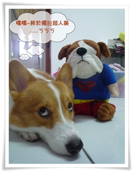 P1050443.JPG P1050443.JPG