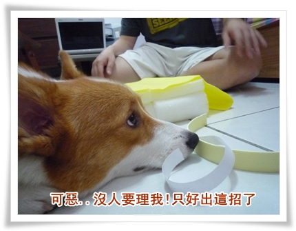 P1050314.JPG P1050314.JPG