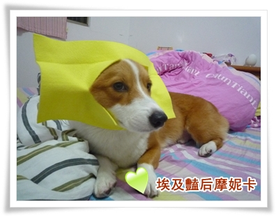 P1050341.JPG P1050341.JPG