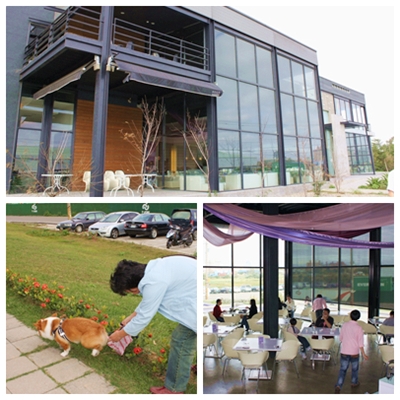 IMG_011.JPG IMG_011.JPG