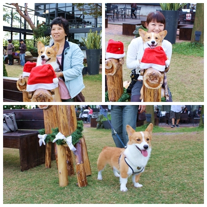 IMG_012.JPG IMG_012.JPG