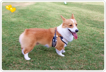 IMG_0677.JPG IMG_0677.JPG