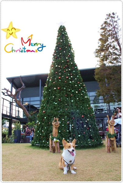 IMG_0692.JPG IMG_0692.JPG