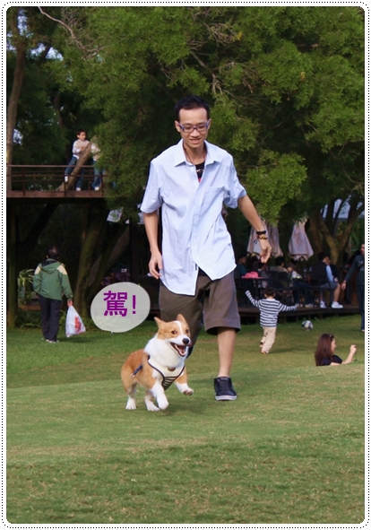 IMG_0710.JPG IMG_0710.JPG