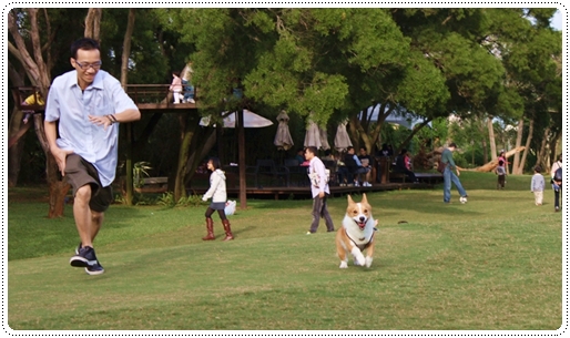 IMG_0716.JPG IMG_0716.JPG