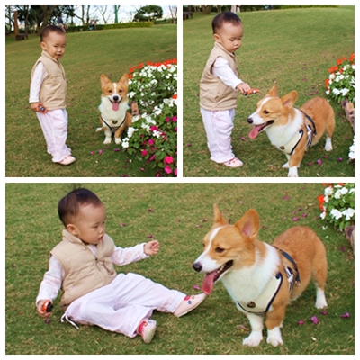 IMG_014.JPG IMG_014.JPG