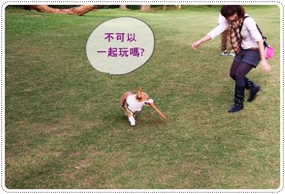 IMG_0767.JPG IMG_0767.JPG