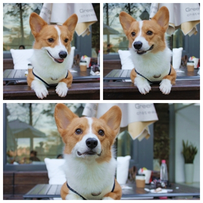 IMG_020.JPG IMG_020.JPG