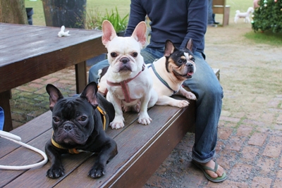 IMG_1077.JPG IMG_1077.JPG