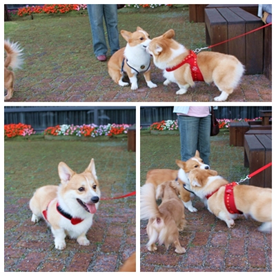 IMG_019.JPG IMG_019.JPG