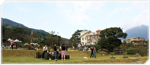 IMG_1172.JPG IMG_1172.JPG