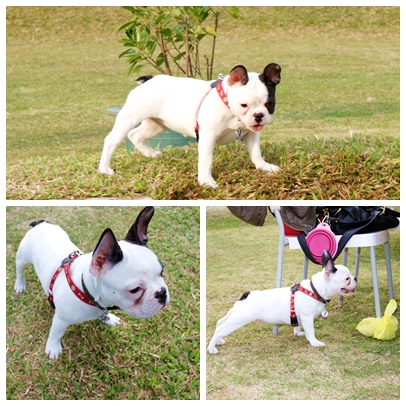 IMG_12.JPG IMG_12.JPG