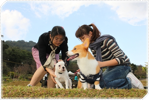 IMG_1160.JPG IMG_1160.JPG