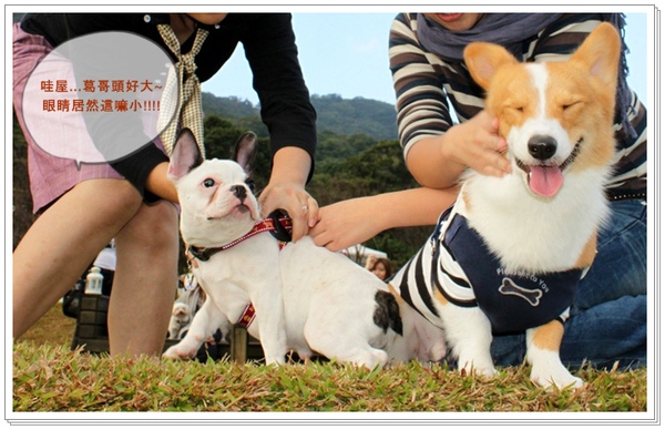 1213陽明山綠風-1.JPG 1213陽明山綠風-1.JPG