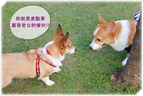 IMG_1219.JPG IMG_1219.JPG