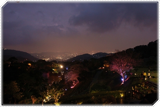 IMG_1328.JPG IMG_1328.JPG