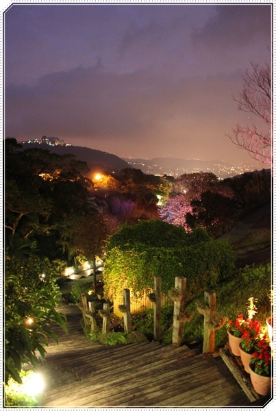 IMG_1335.JPG IMG_1335.JPG