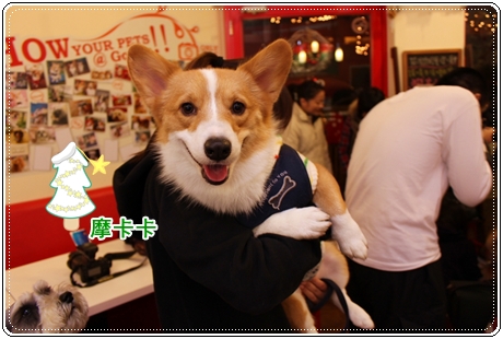 IMG_3063.JPG IMG_3063.JPG