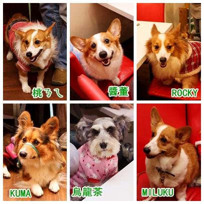 0001-XMAS.jpg 0001-XMAS.jpg