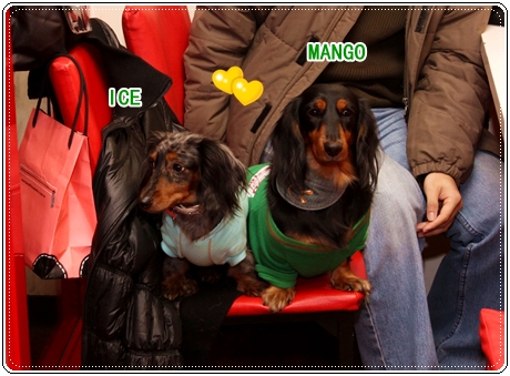 IMG_3033.JPG IMG_3033.JPG