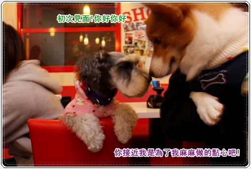 IMG_3064.JPG IMG_3064.JPG