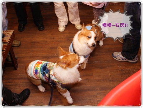 IMG_3041.JPG IMG_3041.JPG