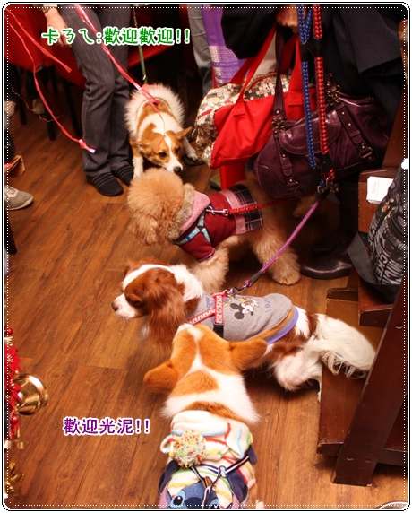 IMG_3056.JPG IMG_3056.JPG