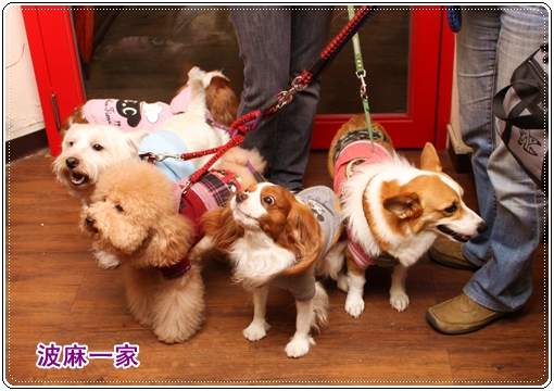 IMG_3068.JPG IMG_3068.JPG