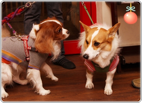 IMG_3071.JPG IMG_3071.JPG