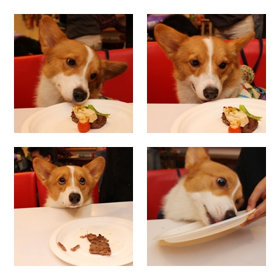 0004-XMAS.jpg 0004-XMAS.jpg