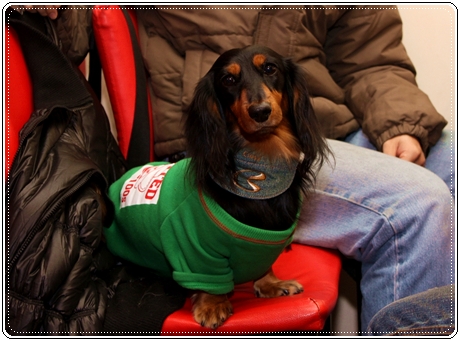 IMG_3213.JPG IMG_3213.JPG