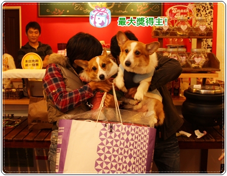 IMG_3446.JPG IMG_3446.JPG