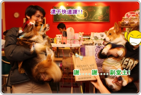 IMG_3413.JPG IMG_3413.JPG