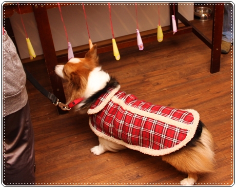 IMG_3381.JPG IMG_3381.JPG