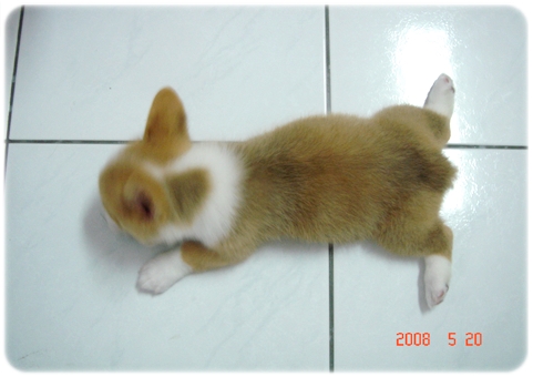 DSC07106.JPG DSC07106.JPG