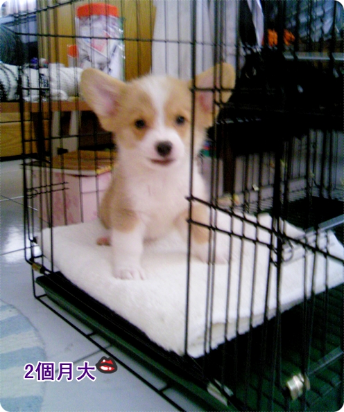 DCF_0199.JPG DCF_0199.JPG