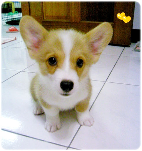 DCF_0235.JPG DCF_0235.JPG