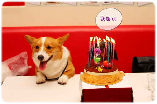 IMG_7972.JPG IMG_7972.JPG