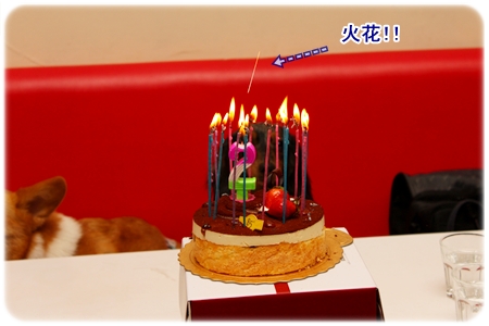 IMG_7977.JPG IMG_7977.JPG