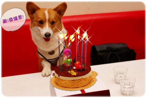 IMG_7965.JPG IMG_7965.JPG