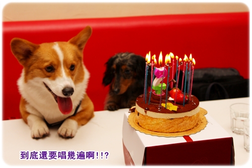 IMG_7981.JPG IMG_7981.JPG