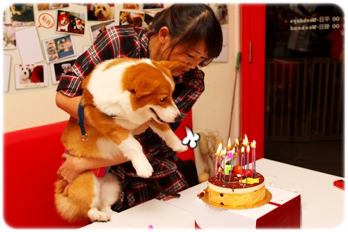 IMG_7991.JPG IMG_7991.JPG