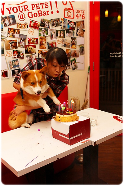 IMG_7993.JPG IMG_7993.JPG