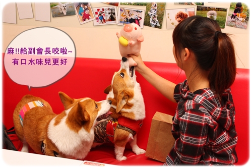 IMG_7921.JPG IMG_7921.JPG