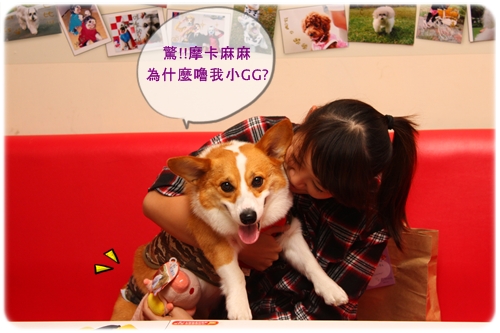 IMG_7928.JPG IMG_7928.JPG