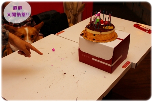 IMG_7997.JPG IMG_7997.JPG