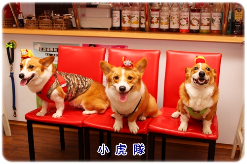 IMG_8014.JPG IMG_8014.JPG