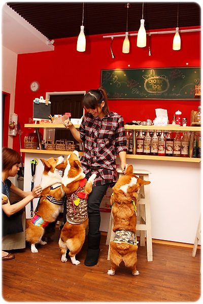 IMG_7949.JPG IMG_7949.JPG