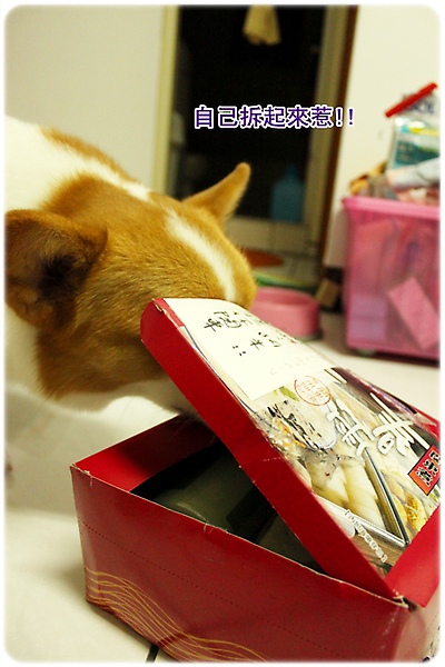 IMG_8085.JPG IMG_8085.JPG